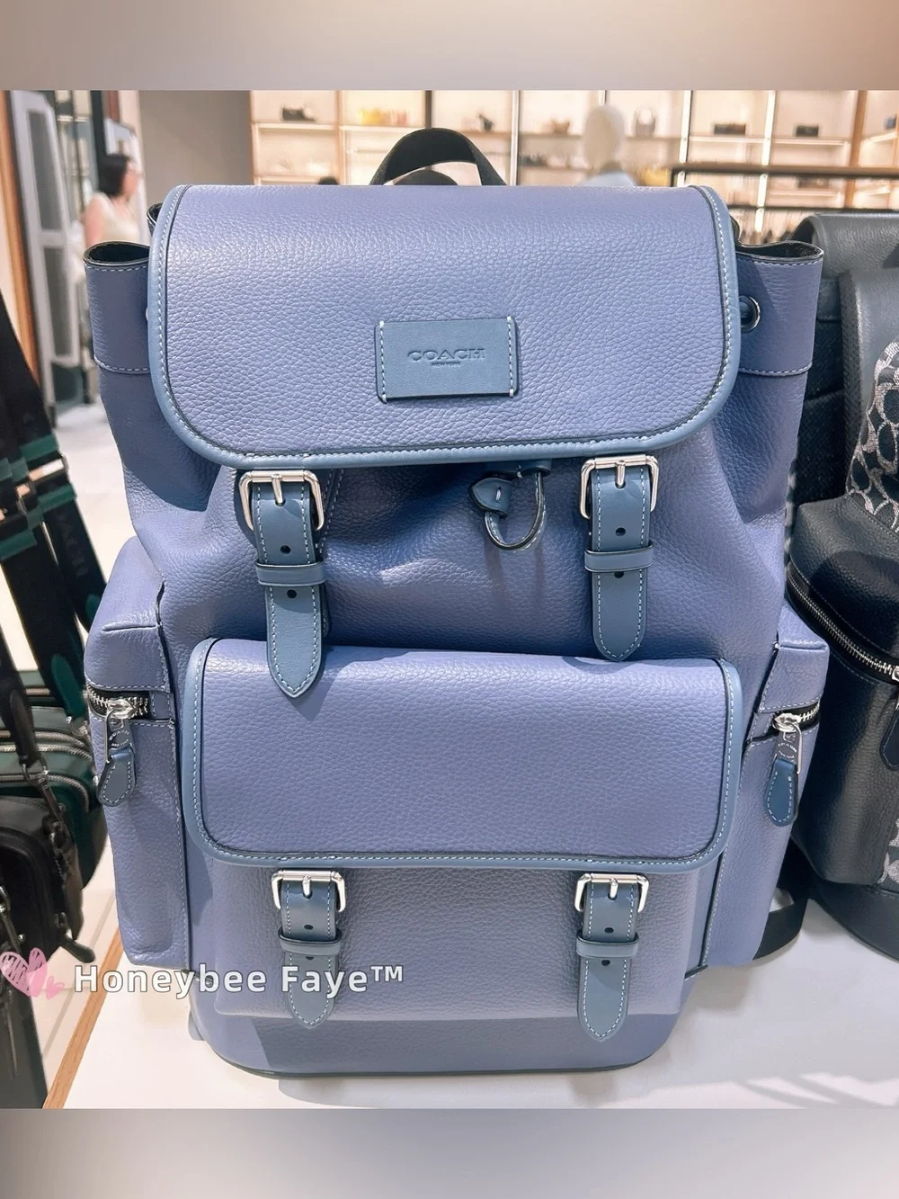 Coach Men's sprint Leather Backpack in Lavender Blue CBI11